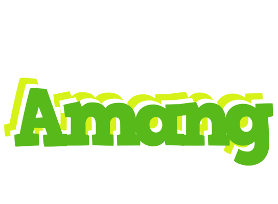 Amang picnic logo