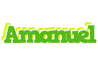 Amanuel picnic logo