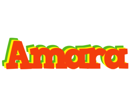 Amara bbq logo