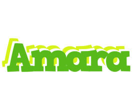 Amara picnic logo