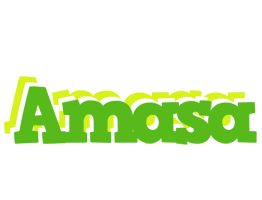 Amasa picnic logo