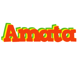 Amata bbq logo