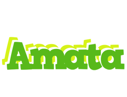 Amata picnic logo