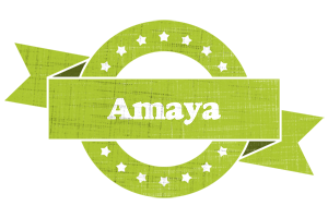 Amaya change logo