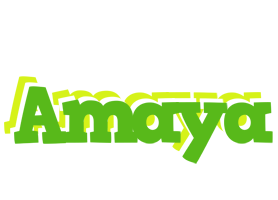 Amaya picnic logo