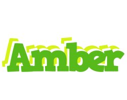 Amber picnic logo