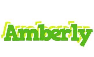 Amberly picnic logo