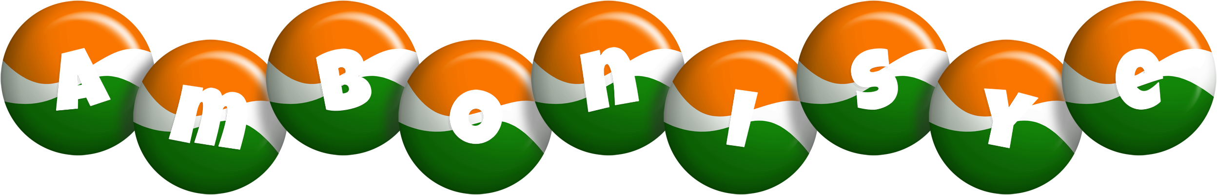 Ambonisye india logo