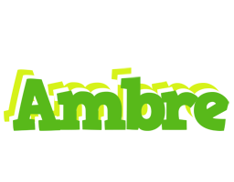 Ambre picnic logo