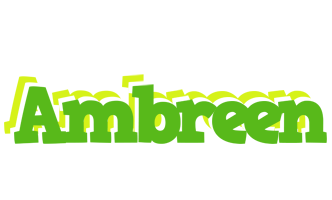 Ambreen picnic logo