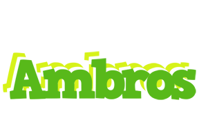 Ambros picnic logo