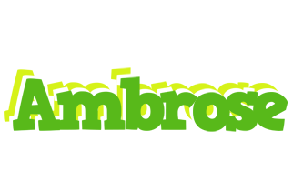 Ambrose picnic logo