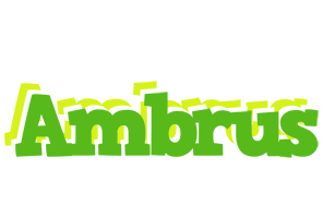 Ambrus picnic logo