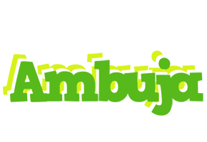 Ambuja picnic logo