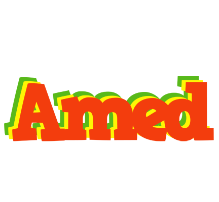 Amed bbq logo