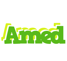 Amed picnic logo