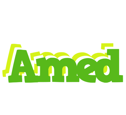 Amed picnic logo