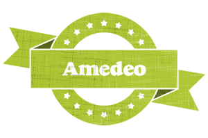 Amedeo change logo