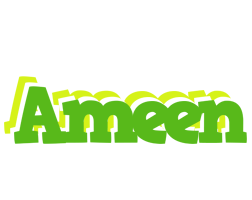 Ameen picnic logo