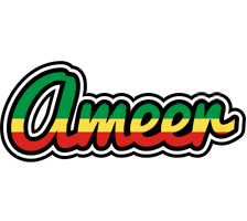 Ameer african logo