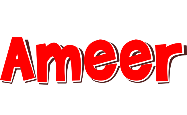Ameer basket logo