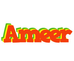 Ameer bbq logo