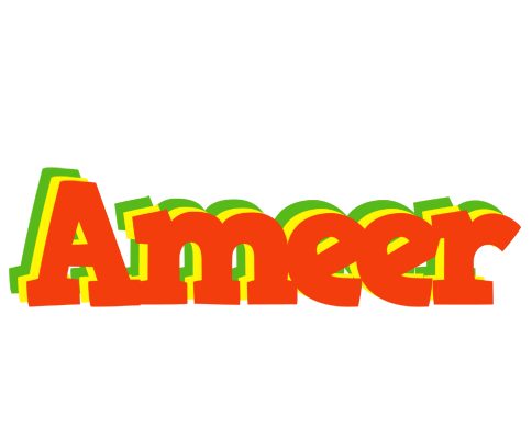 Ameer bbq logo