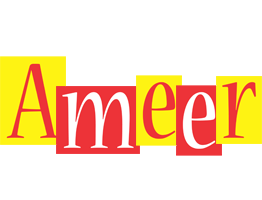 Ameer errors logo