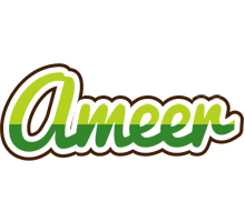 Ameer golfing logo
