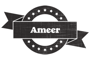 Ameer grunge logo