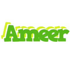 Ameer picnic logo