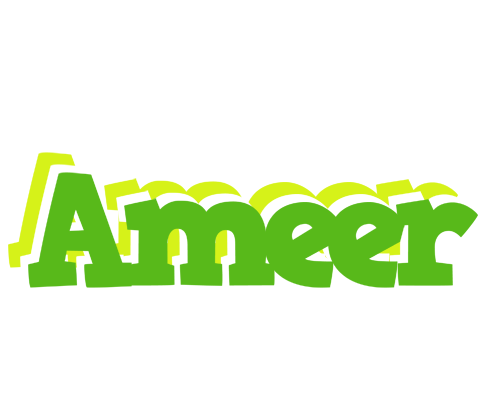 Ameer picnic logo