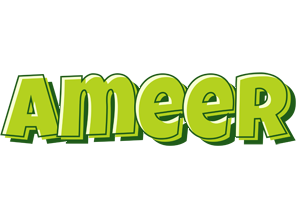 Ameer summer logo