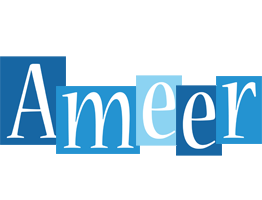Ameer winter logo