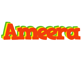 Ameera bbq logo