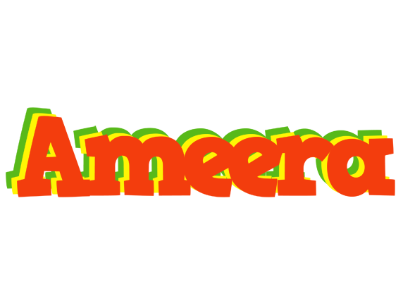 Ameera bbq logo
