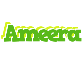 Ameera picnic logo