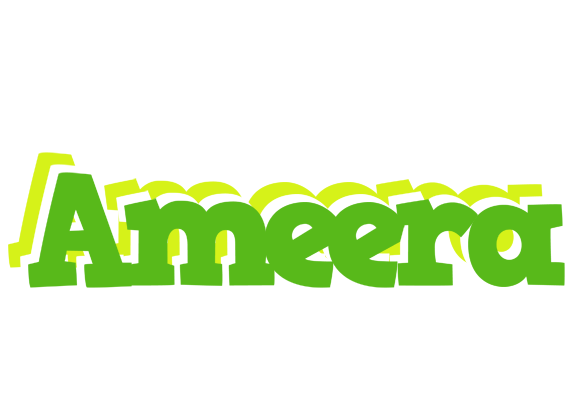 Ameera picnic logo