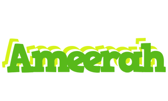 Ameerah picnic logo