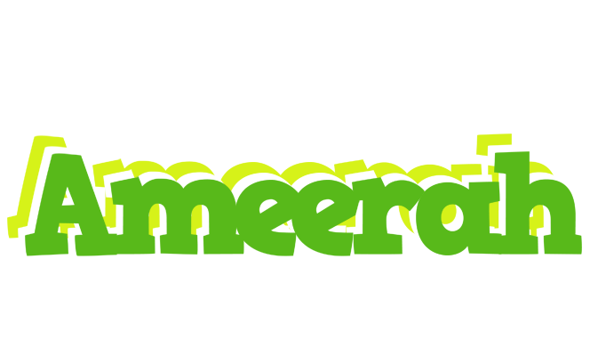 Ameerah picnic logo