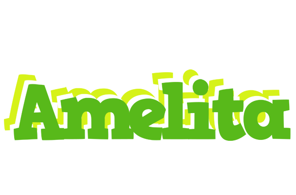 Amelita picnic logo