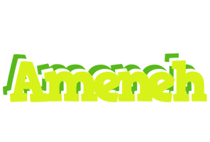 Ameneh citrus logo