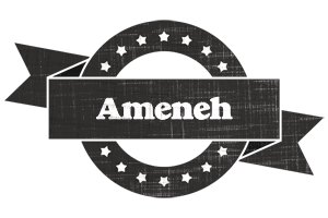 Ameneh grunge logo