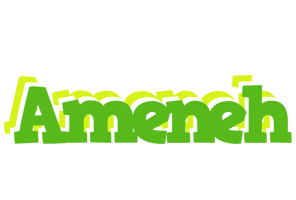 Ameneh picnic logo