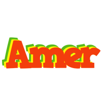 Amer bbq logo