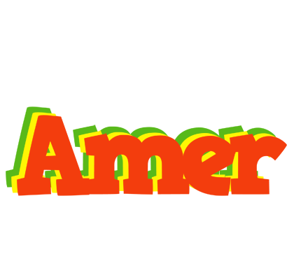Amer bbq logo