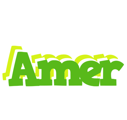 Amer picnic logo