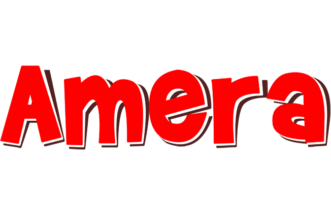 Amera basket logo