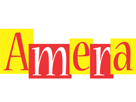 Amera errors logo