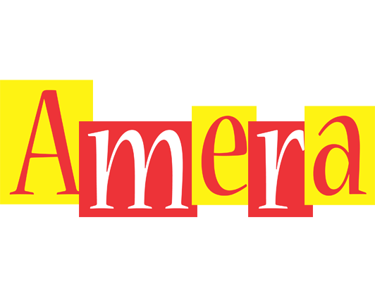 Amera errors logo